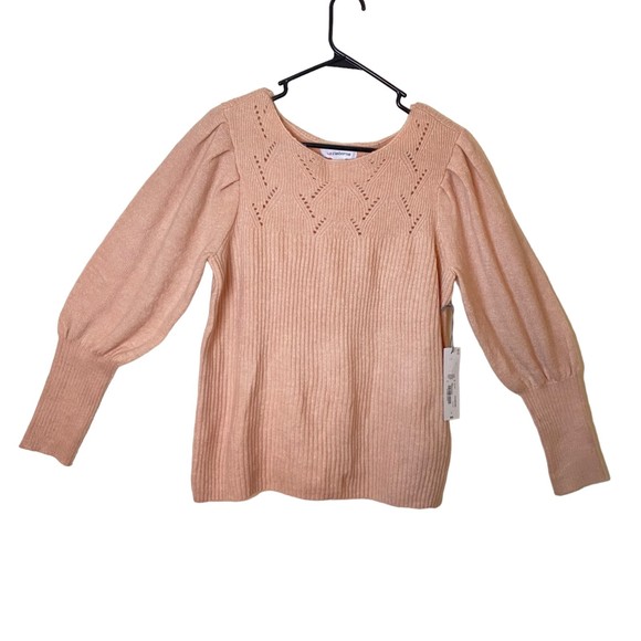 LIZ CLAIBORNE ROSE QUARTZ WOMEN'S LONG SLEEVE PULLOVER  SWEATER BOAT NECK SIZE L - Picture 1 of 6